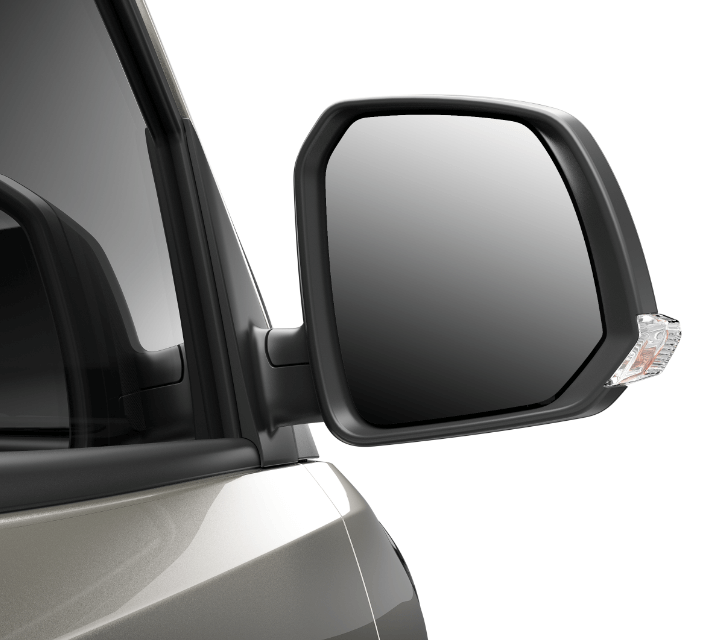 Maxus Side Mirror